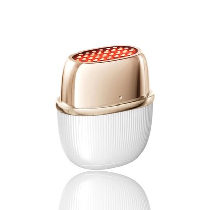 ANLAN Rádiofrekvenciás és EMS arclifting készülék LED fényterápiával